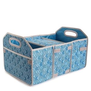Dsw  Trunk Organizer